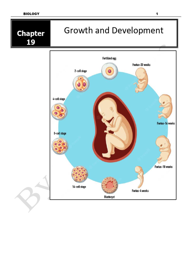 Growth and Development in Plants | PDF | Root | Regeneration (Biology)