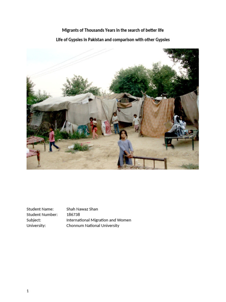 Life and Struggles of Pakistani Gypsies | PDF | Romani People