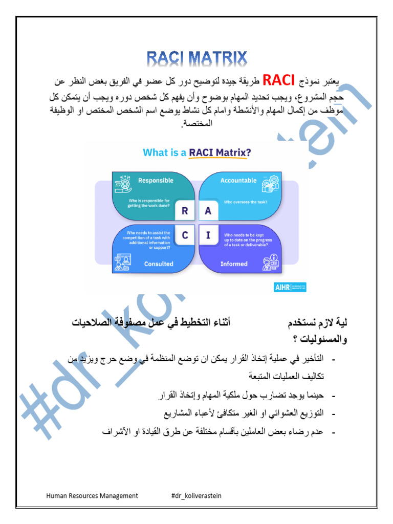 RACI Matrix | PDF