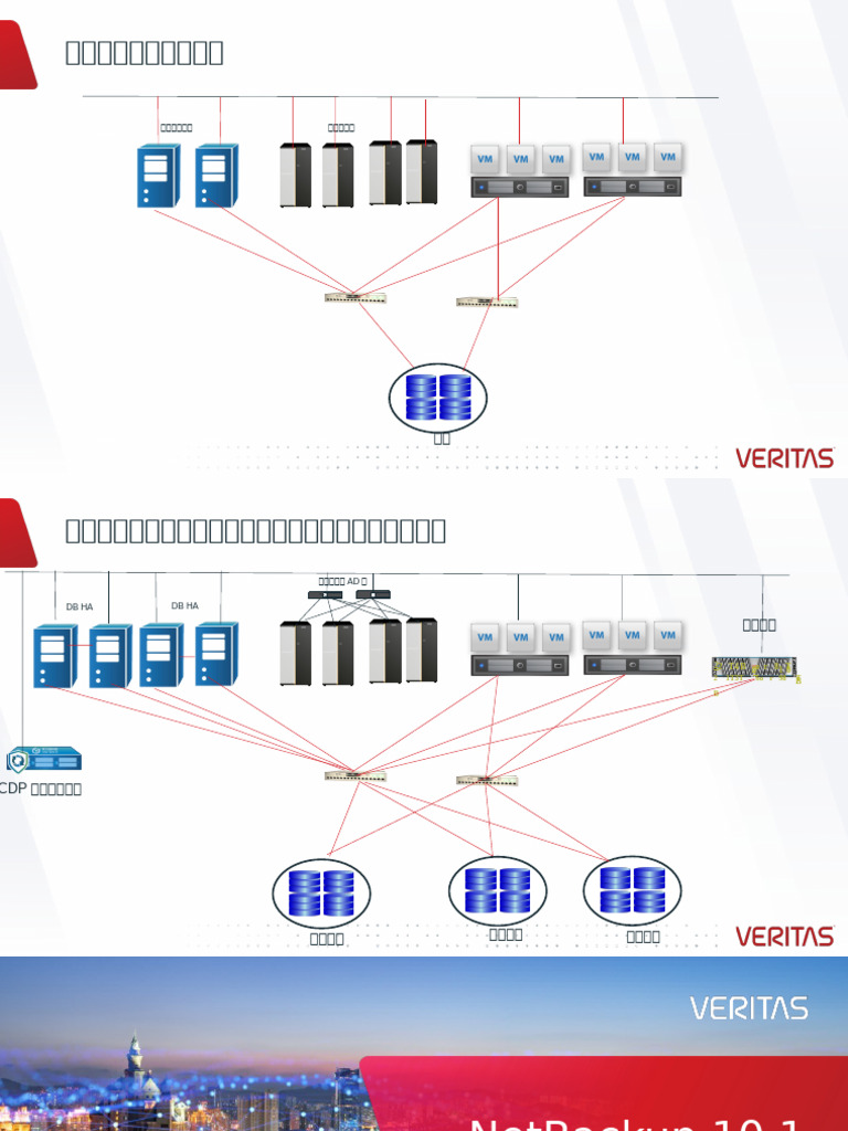 Netbacup 10.1 | PDF