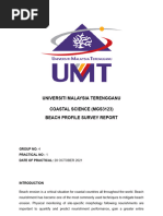 Emery Beach Profiling Method Guide | PDF | Beach | Nature