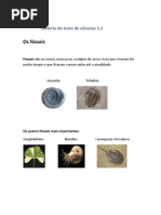 Matéria do teste de ciências 2.1