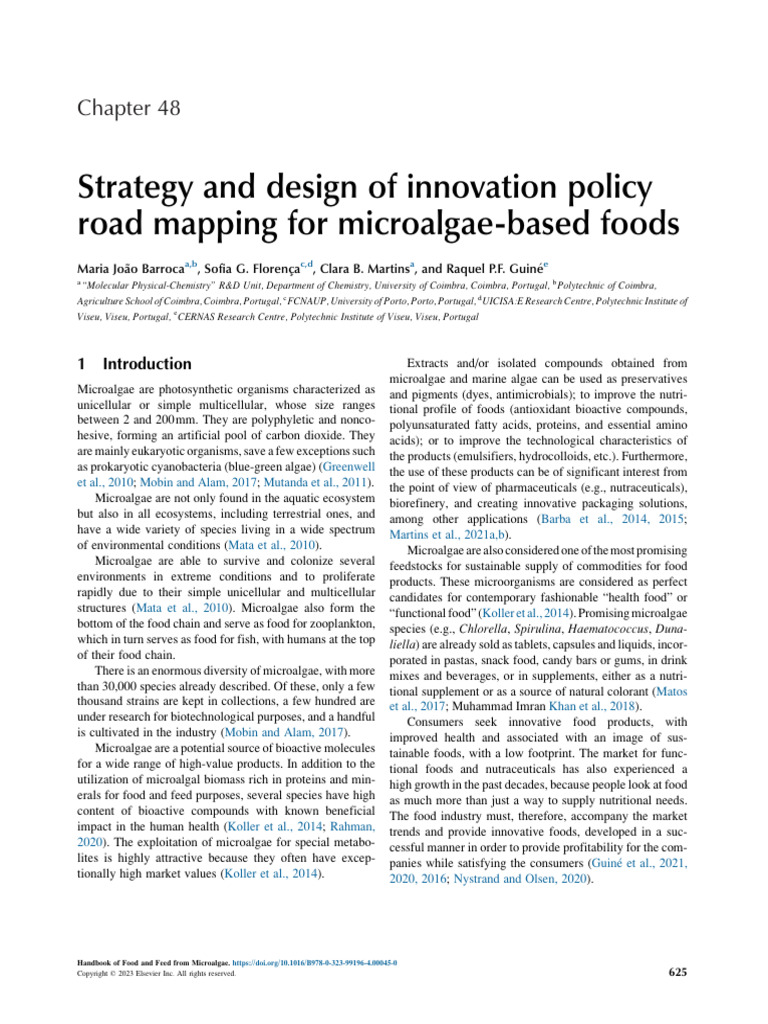 Strategy-And-Design-Of-Innovation-Powder of Plant Protein | PDF ...