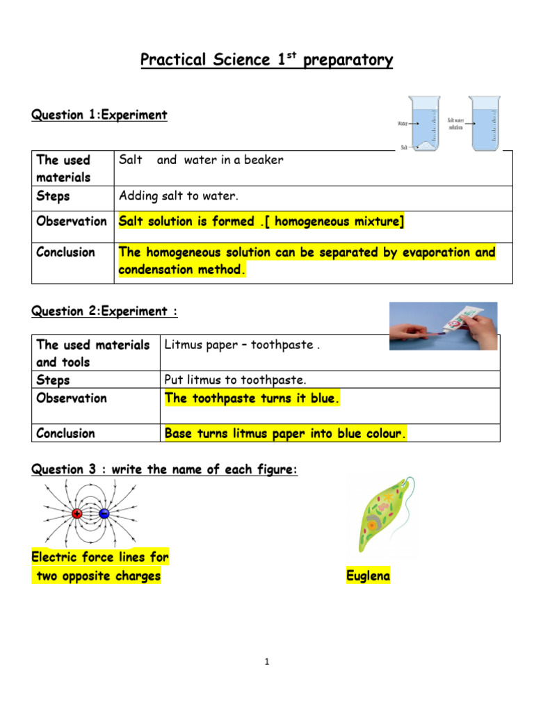 Science Experiments for Beginners | PDF