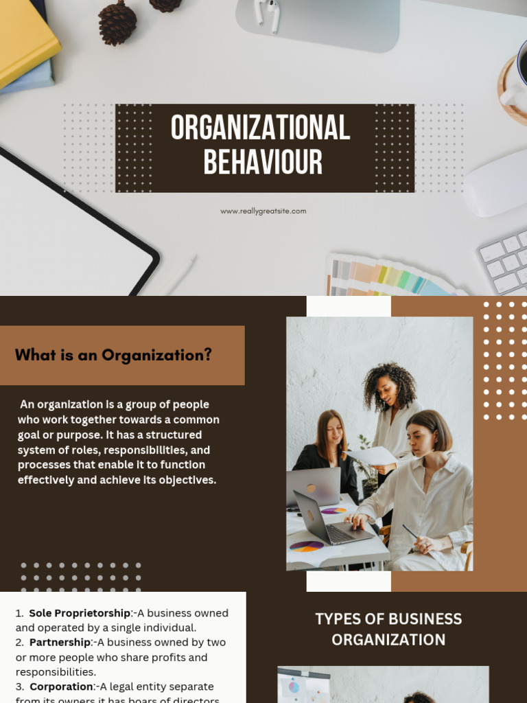 Understanding Organizational Behavior | PDF
