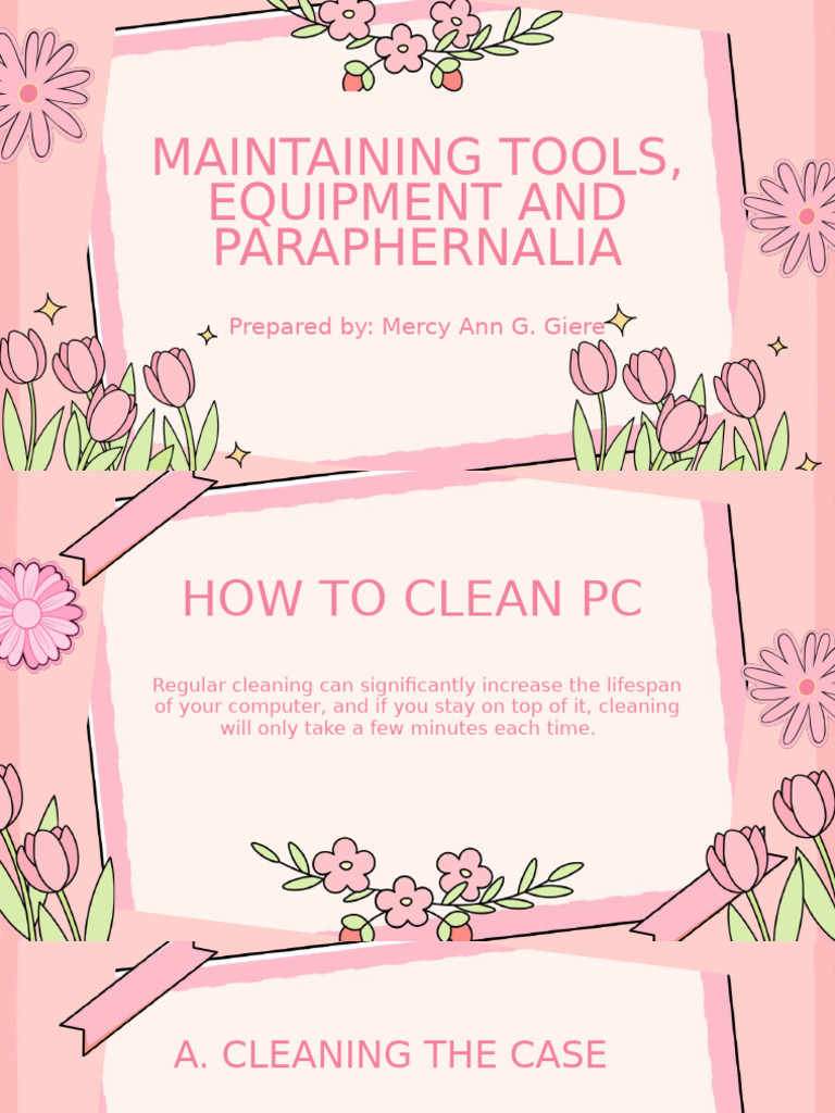 Essential PC Cleaning Guide | PDF