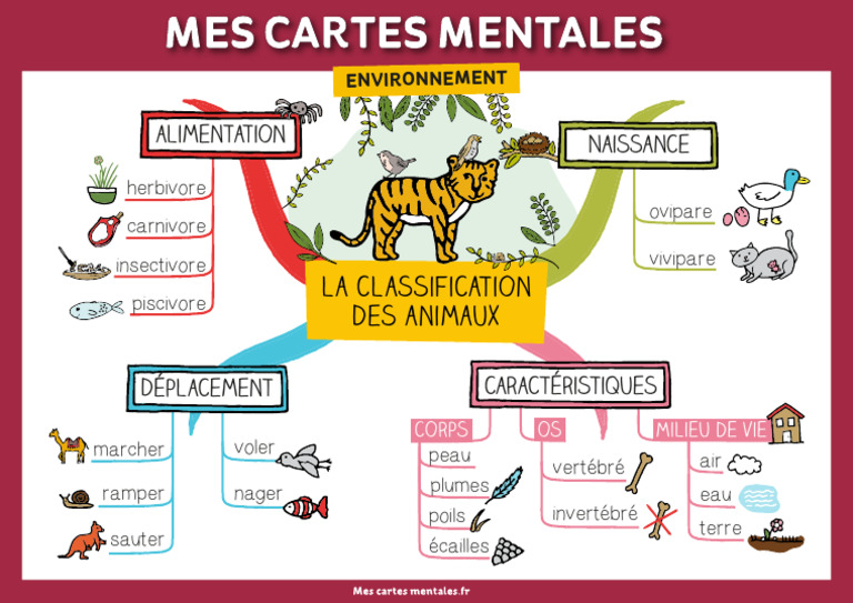 Classification des animaux et leurs traits | PDF