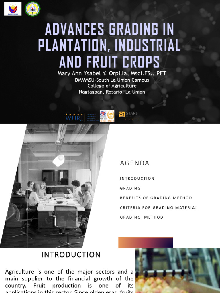 Advances Grading in Plantation Industrial and Fruit | PDF | Engineering ...