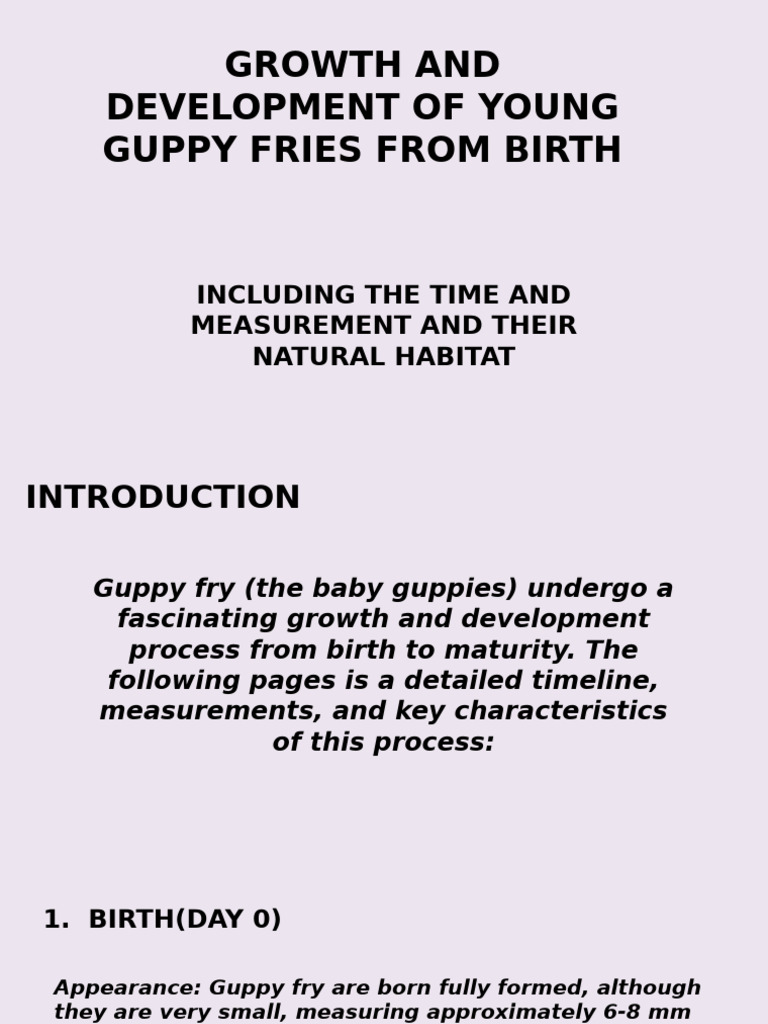 Guppy Fry Growth and Habitat Guide | PDF | Zoology