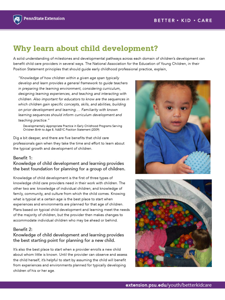 HO ChildDevFCC WhyChildDev | PDF | Child Development | Learning