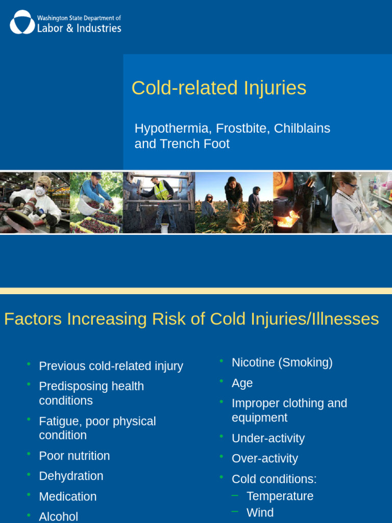 Treating Hypothermia and Cold Injuries | PDF | Hypothermia | Medical ...