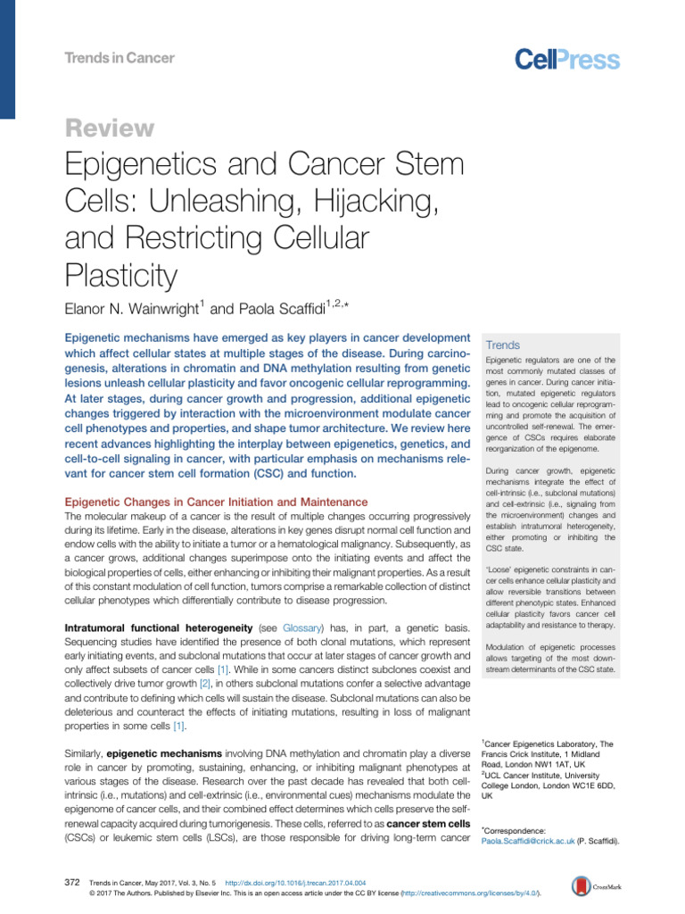 Epigenetics in Cancer Stem Cells | PDF | Epigenetics | Carcinogenesis