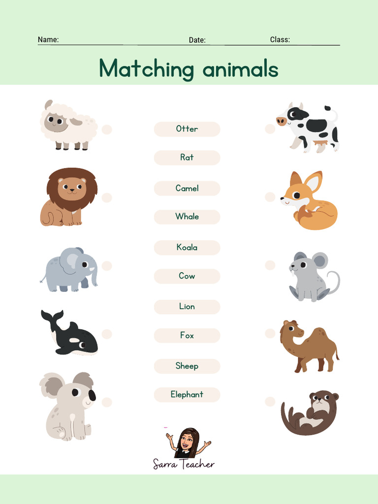 Animals Worksheet | PDF