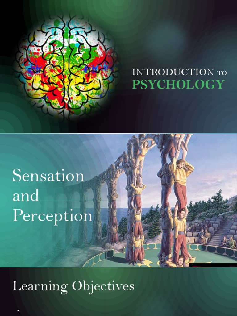 Sensation and Perception Overview | PDF | Senses | Perception