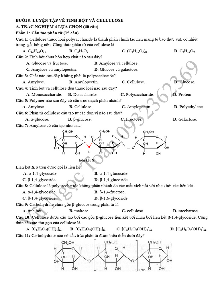BU I 9. LUYEN TAP TINH BOT VA CELLULOSE - HS12a3 | PDF