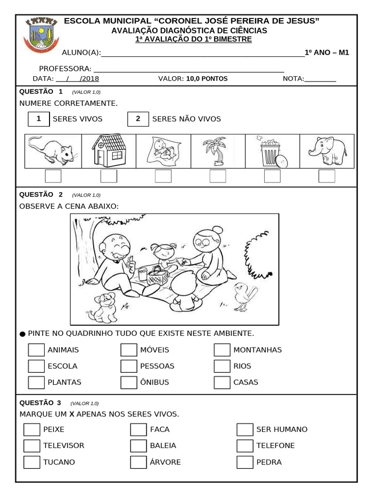 Avaliação Diagnóstica de Ciências 1º Ano | PDF