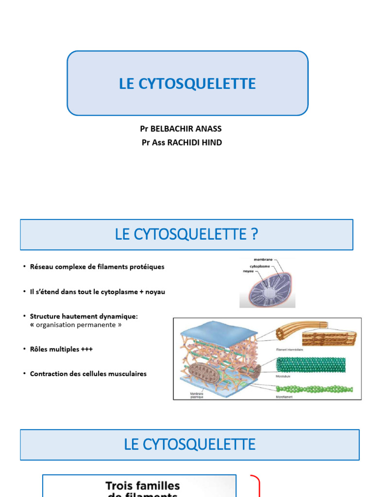 Rôle et structure du cytosquelette | PDF | Cytosquelette | Microtubule