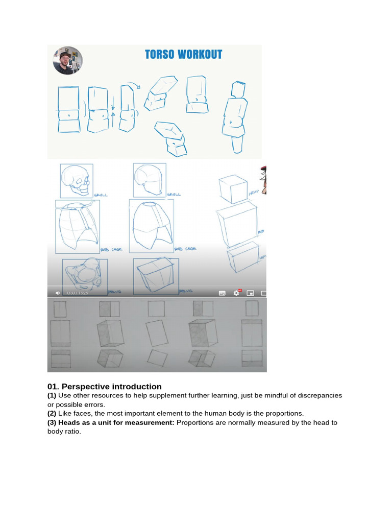 Torsos Studys | PDF