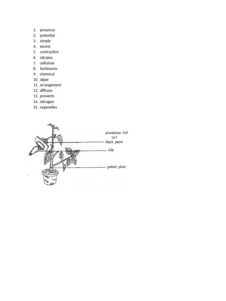 C6 Assessment | PDF