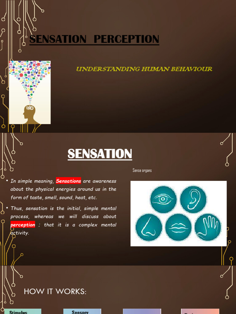 Sensation and Perception Explained | PDF | Senses | Perception
