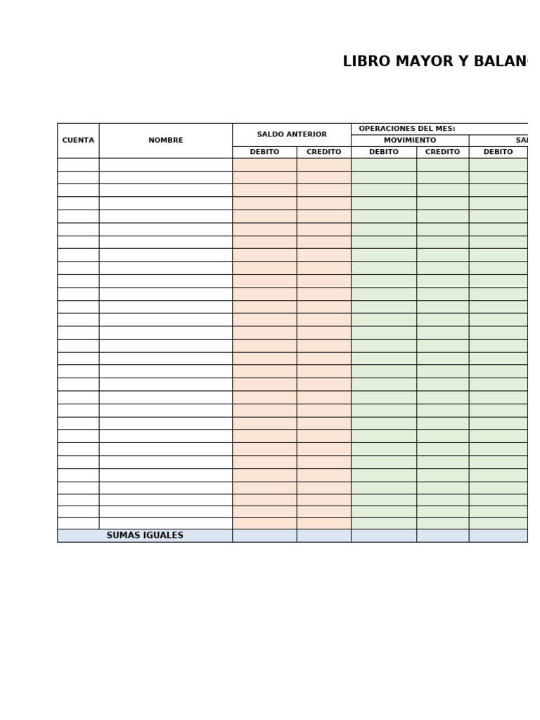 LIbro Mayor y balances | PDF
