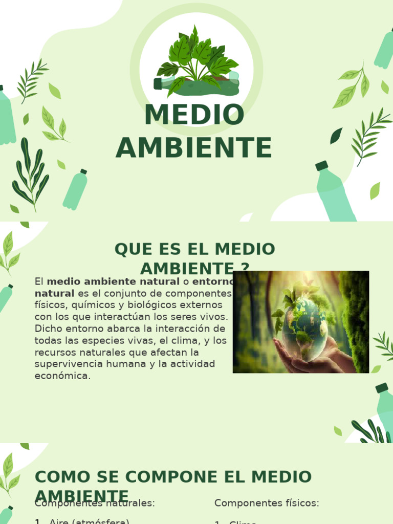 Composición y causas del medio ambiente | PDF | Entorno natural ...