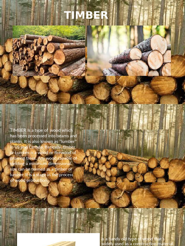 TIMBER | PDF | Wood | Framing (Construction)