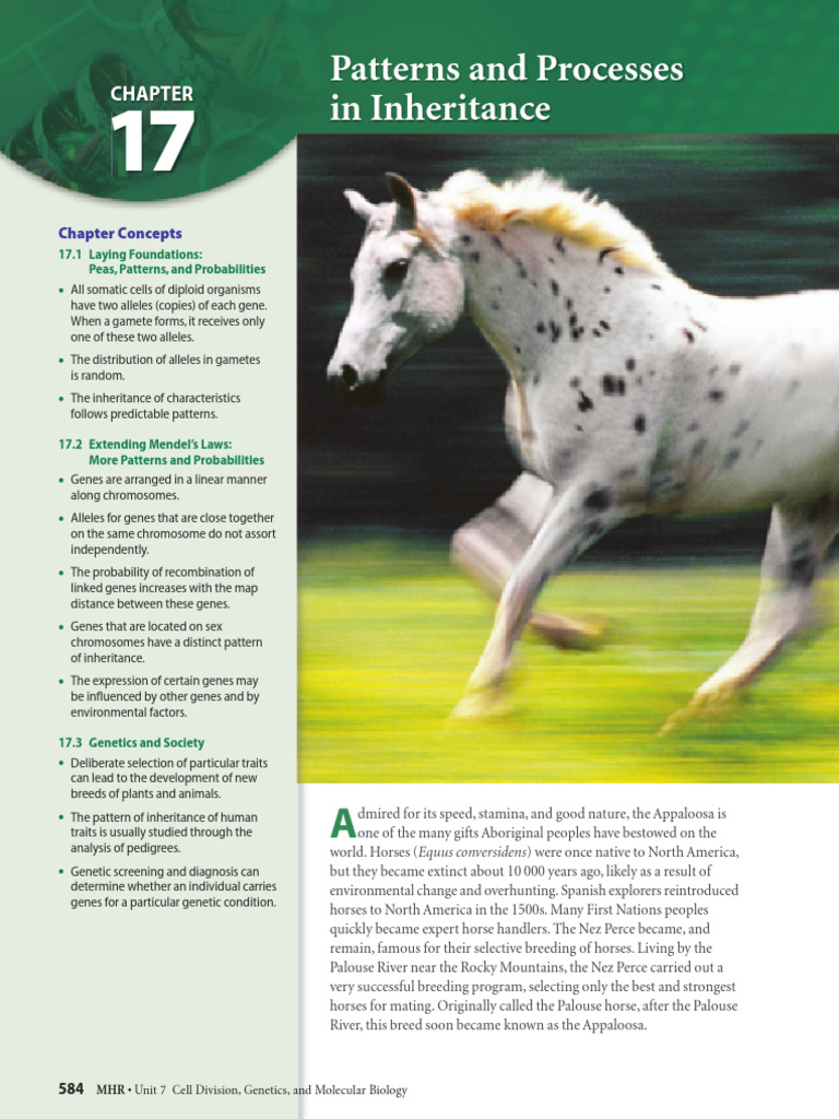 Inheritance Patterns and Genetic Concepts | PDF | Dominance (Genetics ...