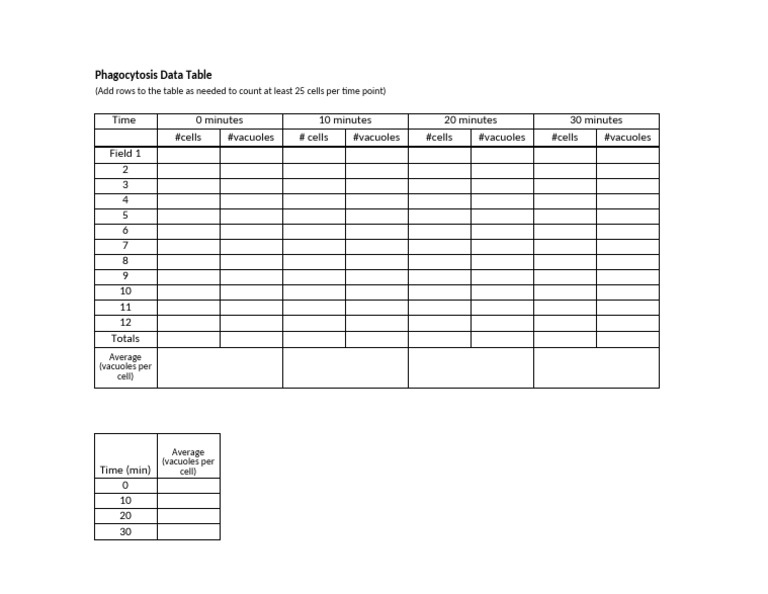 Phagocytosis Cell Data Table | PDF