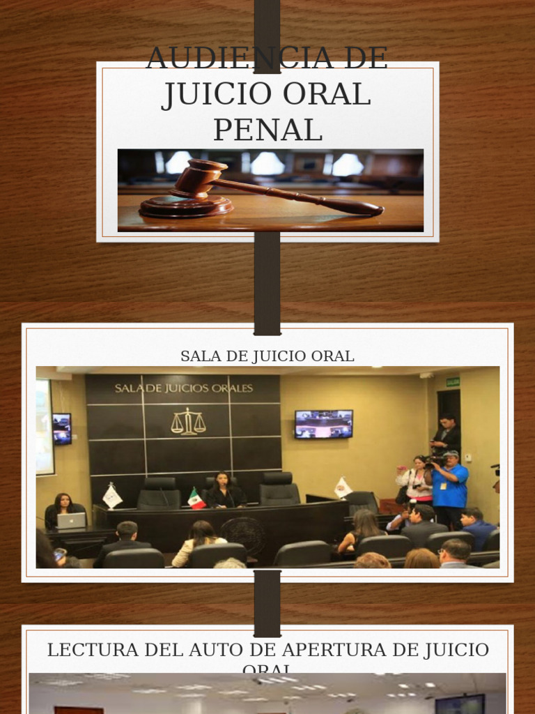 Audiencia de Juicio Oral Penal | PDF