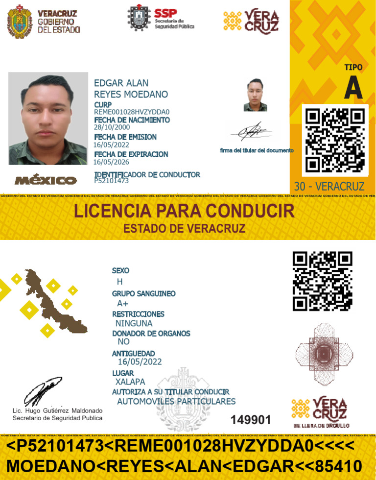 Licencia Veracruz | PDF