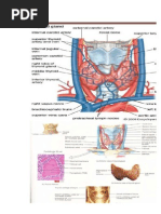 Download Hi Per Tiro Id by YuNa Yuna SN81539632 doc pdf