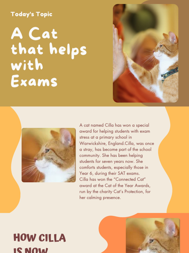 Stress-Free Cat | PDF