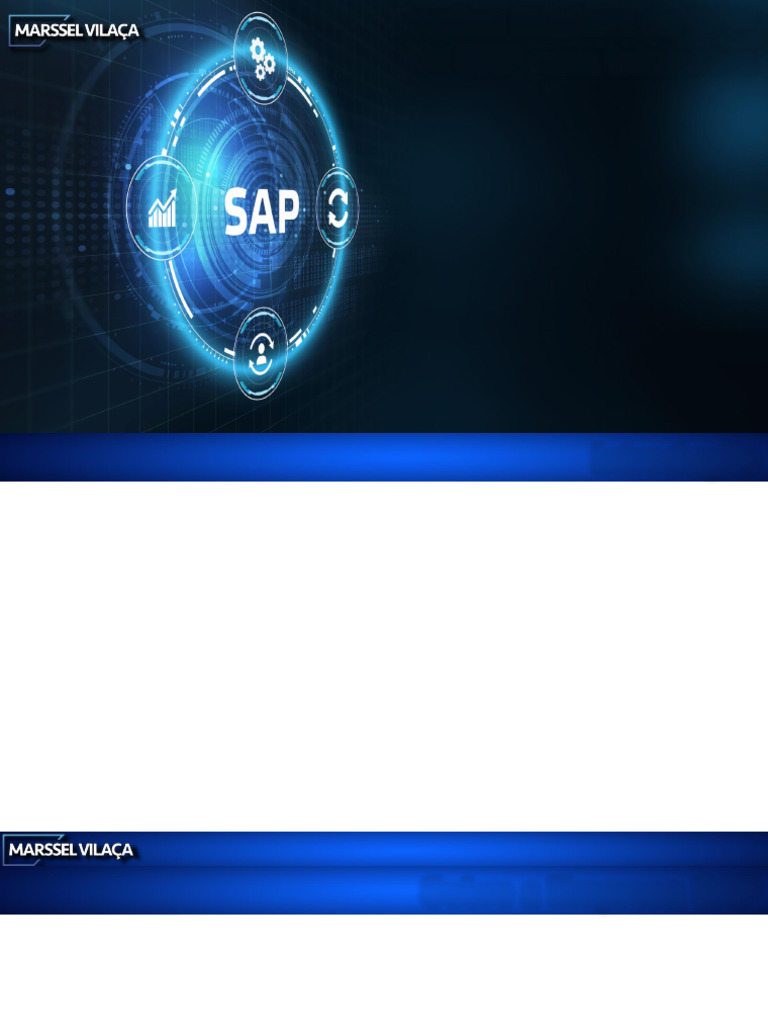 Noções Básicas de Sap | PDF | Planejamento de recursos empresariais ...