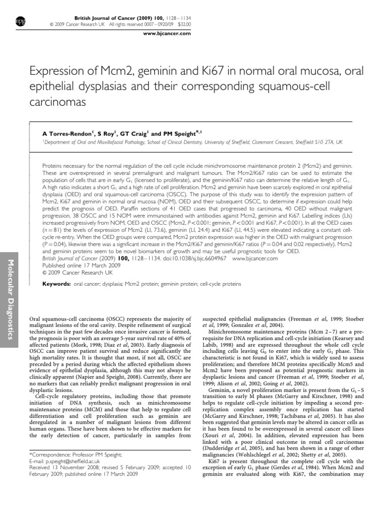 05Expression Of Mcm2 Geminin And Ki67 In Normal Oral Mucosa Oral 