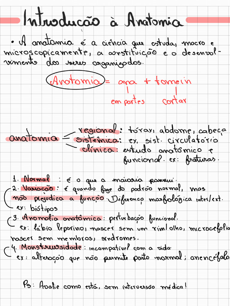 Anatomia 241123 154855 | PDF