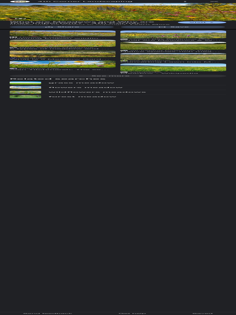 Meadow - Google Search | PDF