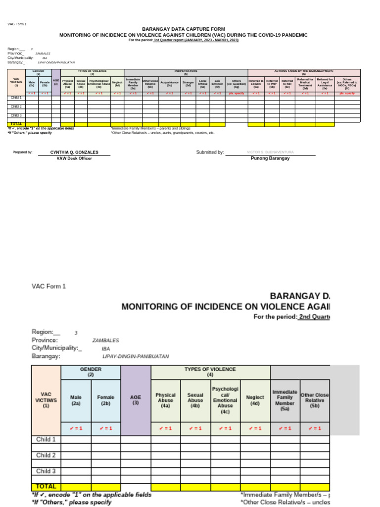 VAC Form: Child Violence Data 2023 | PDF | Child Abuse | Violence