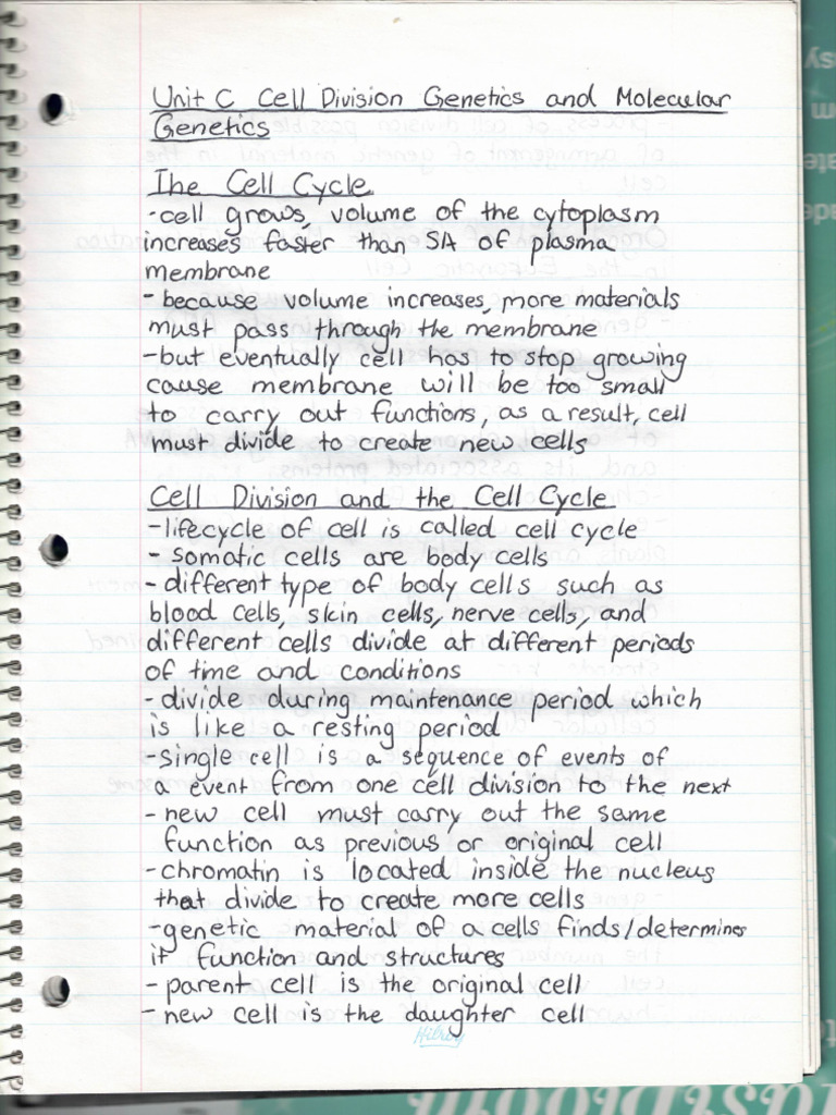 Unit C Notes 1 | PDF