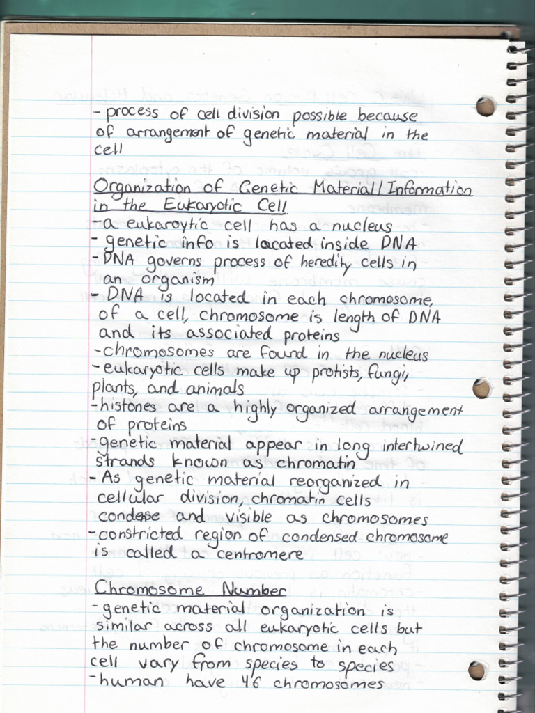 Unit C Notes 2 | PDF