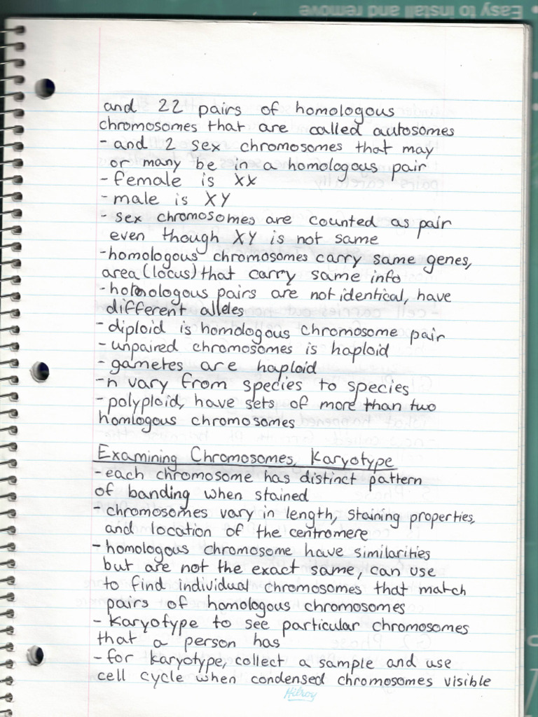 Unit C Notes 3 | PDF