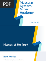 Trunk Range of Motion Overview | PDF | Anatomical Terms Of Motion ...