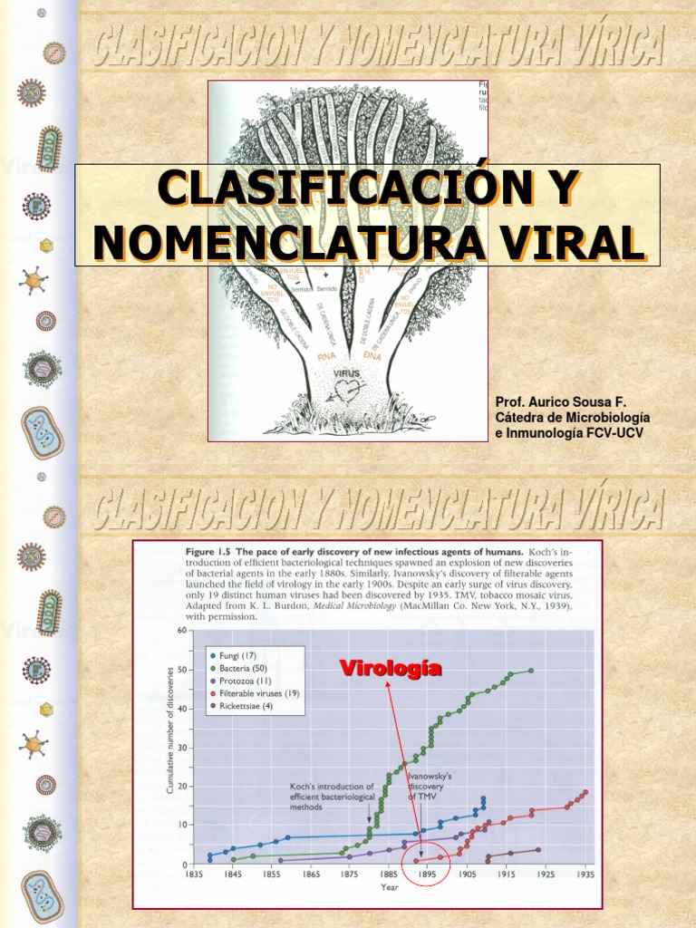 21 Taxonomia Viral Virus Ciencias de la tierra y de la vida