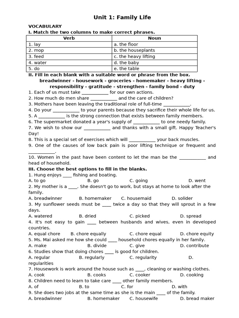 Family Life Vocabulary & Grammar | PDF
