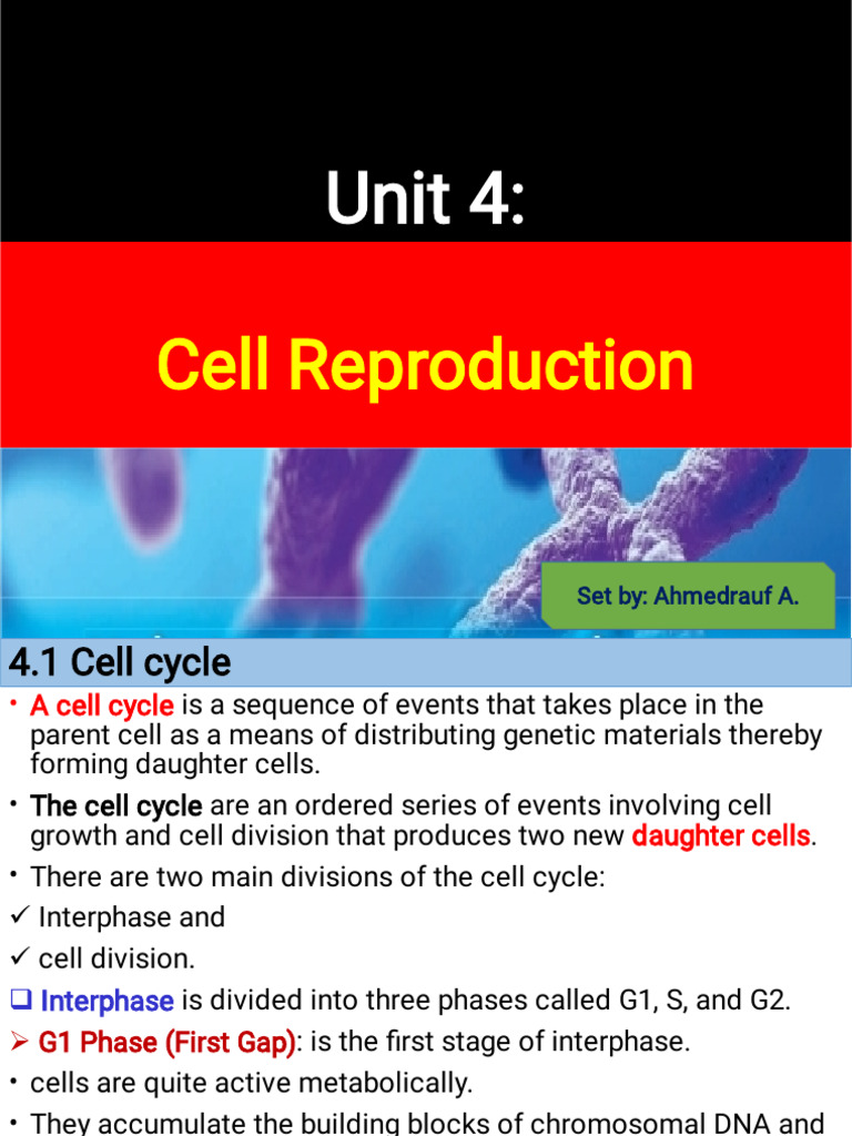 BIO G10 Unit 4- Cell Reproduction (1) | PDF | Mitosis | Cell (Biology)