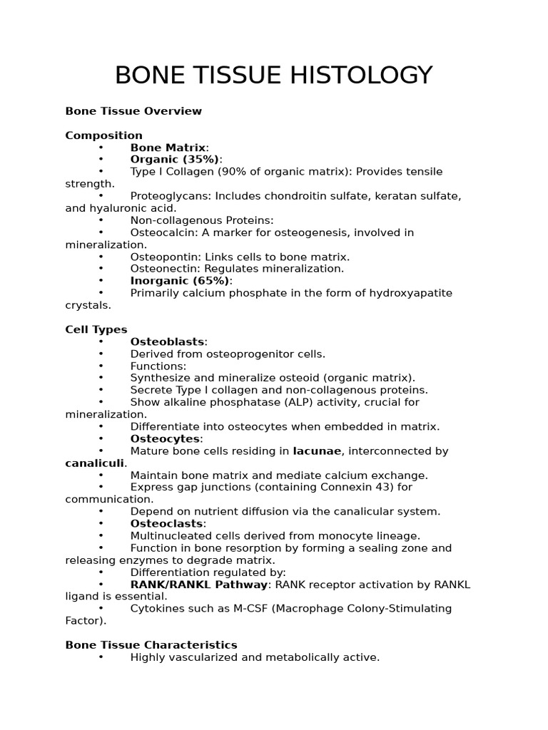 Bel2 3 | PDF | Bone | Osteoblast
