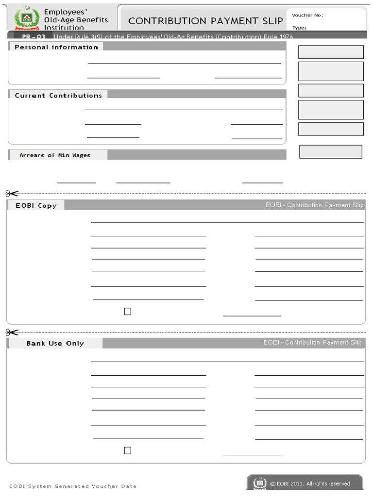 EOBI Contribution Payment Slip - Dec 2024 | PDF | Employment | Payments