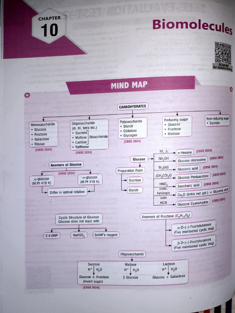 Biomolecules | PDF | Glucose | Carbohydrates