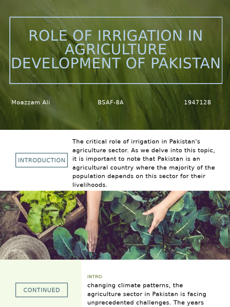 Role of Irrigation in Agriculture Development of Pakistan | PDF ...