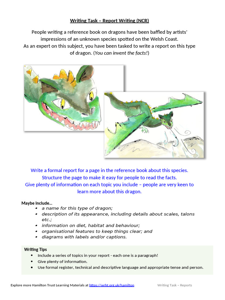Y6 Catch-Up Writing-Task Reports | PDF